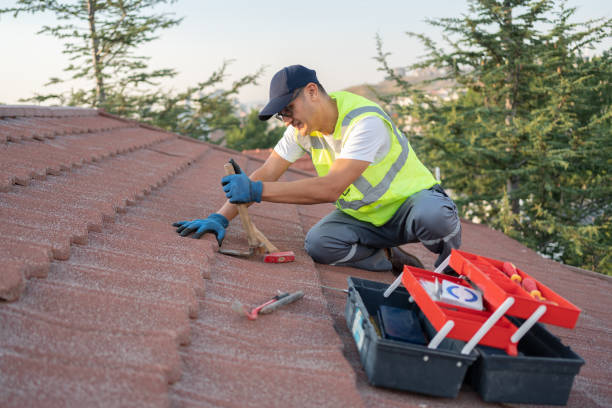 Best Roof Leak Repair  in Belle, MO